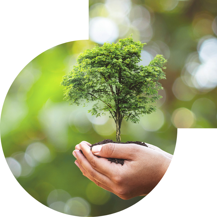 关怀人类、文化、环境与社会